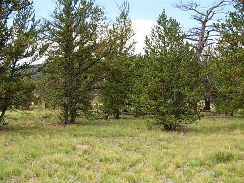 Warm Springs, Lot 387,Picture c