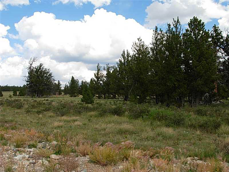 Warm Springs, Lot 387, Picture b