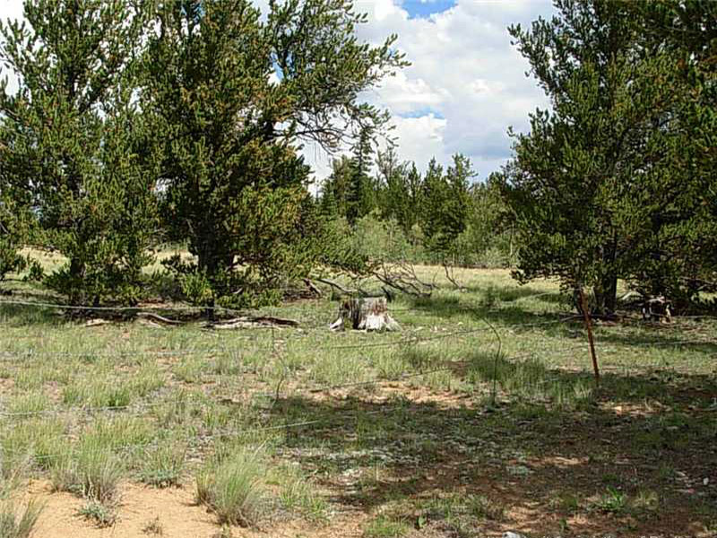 Warm Springs, Lot 387, Picture d
